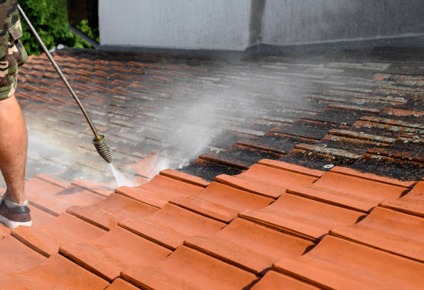 Best Roof Pressure Washing  in Shark River Hills, NJ