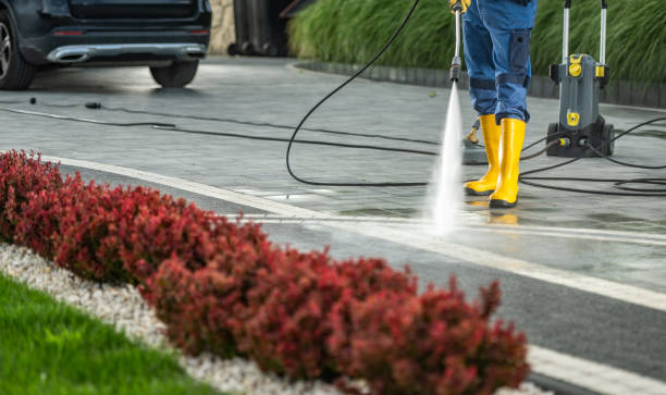 Best Affordable Pressure Washing  in Shark River Hills, NJ