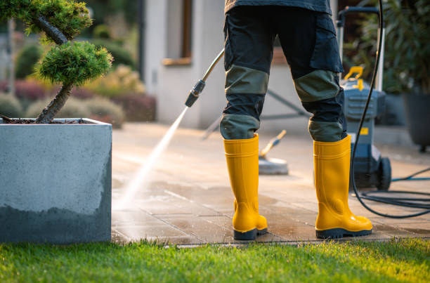 Roof Power Washing Services in Shark River Hills, NJ